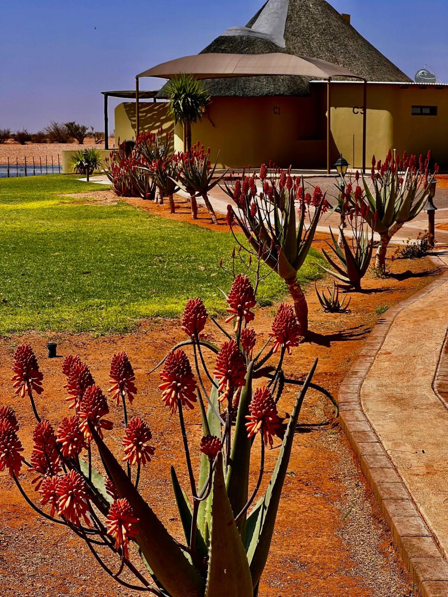 Lapa Lange Game Lodge Mariental Ngoại thất bức ảnh